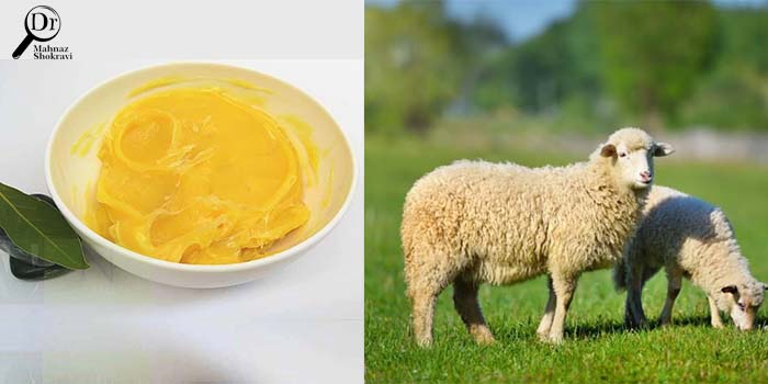 لانولین چیست و چه فوایدی برای پوست دارد؟