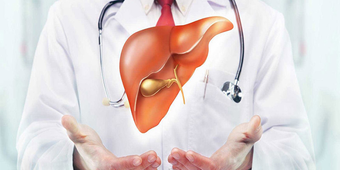 انواع بیماری‌های کبد، علائم، تشخیص و درمان