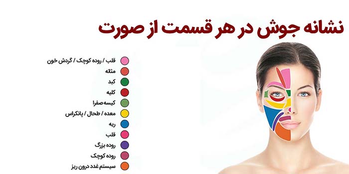دلایل جوش در نواحی مختلف صورت