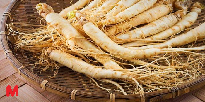 آشواگاندا گیاهی با خواص درمانی برای کاهش استرس و اضطراب