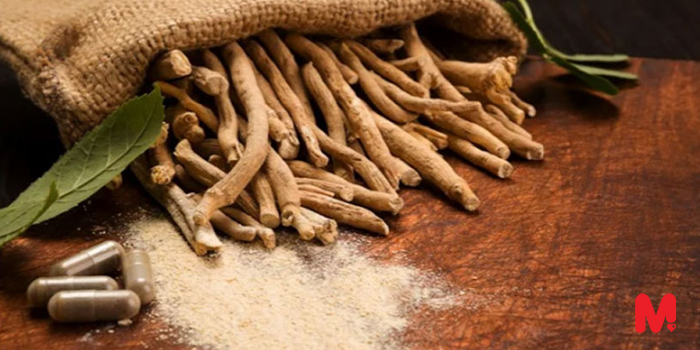 آشواگاندا در طب سنتی هند؛تاریخچه و کاربردهای این گیاه دارویی در فرهنگ‌های مختلف